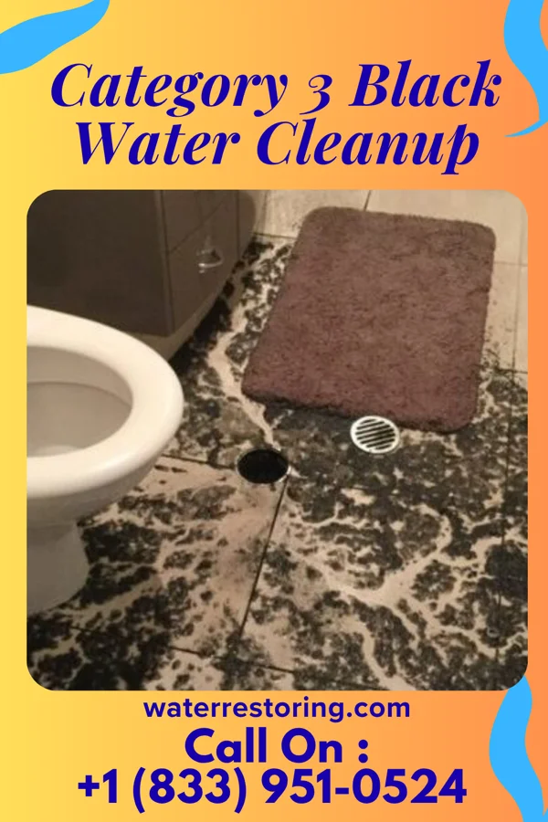 Category 3 Black Water Cleanup in Cumberland Gap, TN