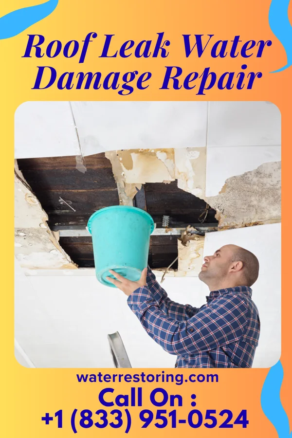 Roof Leak Water Damage Repair in Cumberland Gap, TN