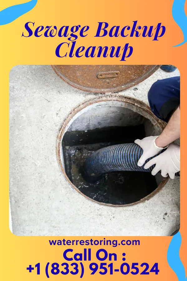 Sewage Backup Cleanup in Cumberland Gap, TN